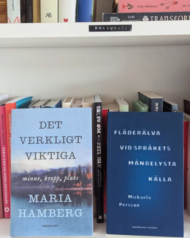 Ibland får jag spontana friex/recex skickade till mig, och ibland är de friexen sådana som jag faktiskt vill och kommer att läsa 🙃 Den här veckan blev det fullträff - två böcker jag inte hade koll på, men definitivt vill hugga tänderna i nu när jag vet att de finns!

📘